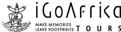 iGoAfrika logo